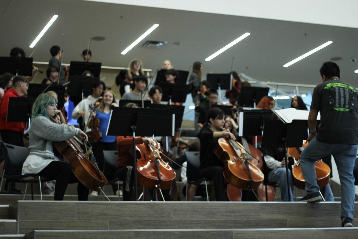 Orchestra is one of the groups that will be performing a Christmas concert in December. 